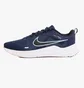 Кроссовки мужские Nike Downshifter 12 Blue Dd9293-400