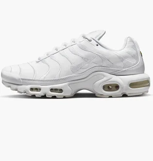 Кроссовки мужские Nike Air Max Plus White Aj2029-100