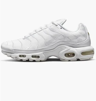 Кроссовки мужские Nike Air Max Plus White Aj2029-100