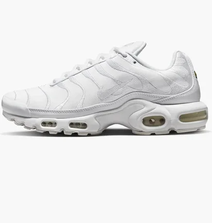Кроссовки мужские Nike Air Max Plus White Aj2029-100