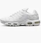 Кроссовки мужские Nike Air Max Plus White Aj2029-100