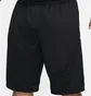 Шорты мужские Nike Icon Dri-Fit 11 Basketball Shorts Black DQ5822-016