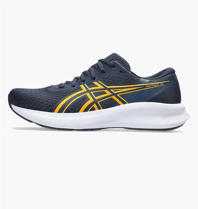 Кроссовки мужские Asics Patriot 14 Blue 1011C050-403