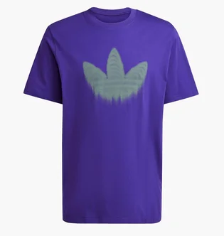 Футболка чоловіча Adidas Skeleton Tr Tee Violet JJ0666