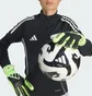 Перчатки вратарские Adidas Copa Gl League Green/Black JN5345