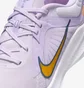 Кросівки жіночі Nike Quest 5 WomenS Road Running Shoes Violet DD9291-500