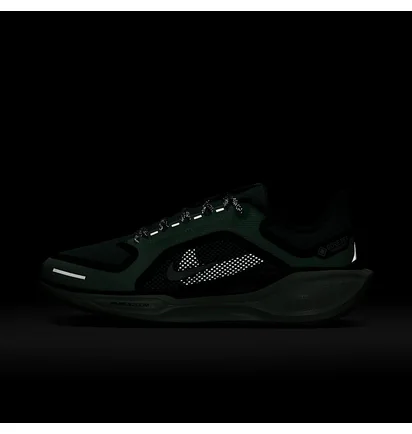 Кросівки жіночі Nike Pegasus 41 Gore Tex Turquoise FQ1357-003