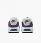Кросівки жіночі Nike Womens Shoes White/Violet 511417-153