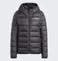 Куртка жіноча Adidas Terrex Multi Light Down Hooded Black IP6034