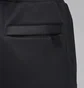 Штаны мужские Air Jordan Pants Black FZ2134-045