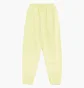 Спортивний костюм чоловічий Nike Sportswear Repeat Fleece Yellow DX1355-331__DX1364-331