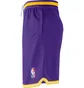 Шорти чоловічі Nike Los Angeles Lakers Violet DB1801-504