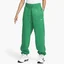 Штани жіночі Nike Sportswear Phoenix Fleece Green Dq5887-365