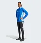 Олимпийка мужская Adidas Tiro 24 Competition Training Blue IP1876