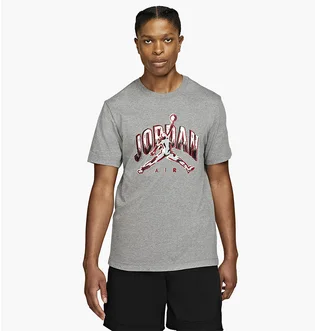 Футболка мужская Air Jordan Air T-Shirt Grey CZ8383-091