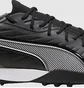 Сороконожки унисекс Puma King Match Tt Black/Grey 107879-01