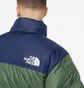 Пуховик мужской The North Face 1996 Retro Nuptse Jacket Green/Blue NF0A3C8DOAS