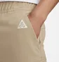 Штани чоловічі Nike Acg „Smith Summit” Beige FN0428-247