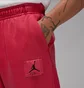 Штаны мужские Air Jordan Essentials Red FB7298-619