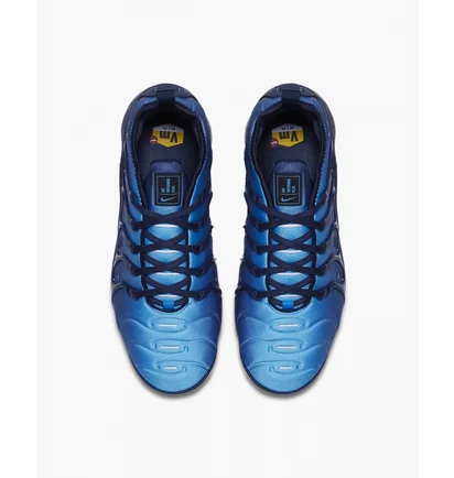 Кроссовки мужские Nike Air Vapormax Plus Blue 924453-401