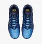 Кроссовки мужские Nike Air Vapormax Plus Blue 924453-401
