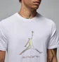 Футболка мужская Air Jordan Sprt Dri-Fit Gfx Ss Crew White HQ7984-100
