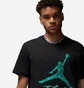 Футболка чоловіча Air Jordan Essentials Jumpman Black Dq7376-010