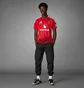 Футболка мужская Adidas Manchester United 24/25 Home Red IU1397