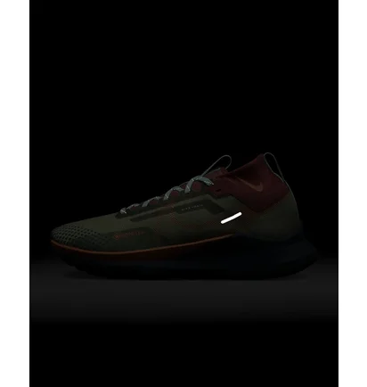 Кроссовки женские Nike Pegasus Trail 4 Gore-Tex Green Dj7929-300