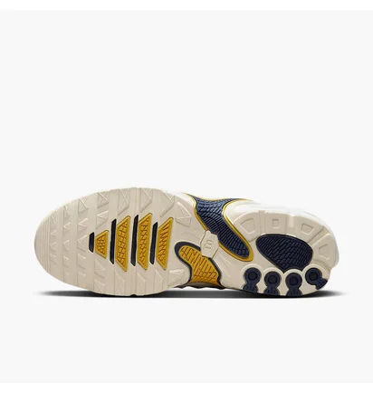 Кроссовки мужские Nike Tn Air Max Plus Drift Phantom Beige/Grey FZ4748-100