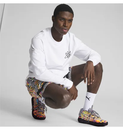 Кросівки чоловічі Puma Melo X DexterS Lab Mb.03 Basketball Shoes Multi 379330-01
