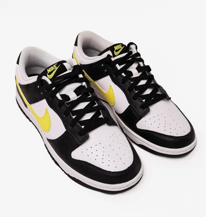 Кроссовки мужские Nike Dunk Low Black/White FQ2431-001