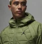 Куртка чоловіча Air Jordan Therma-Fit Sport Green FD2637-340