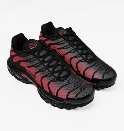 Кросівки чоловічі Nike Air Max Plus Black DZ4507-600