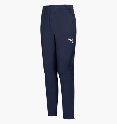 Штаны детские Puma Liga Training Pants Blue 655638-06