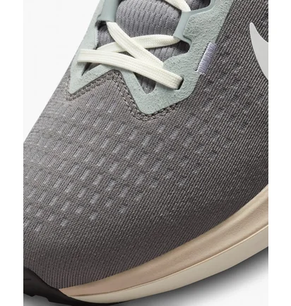 Кросівки чоловічі Nike Air Winflo 10 Brown FN7499-029