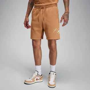 Шорти чоловічі Air Jordan Essential Fleece Hbr Brown FN4535-231