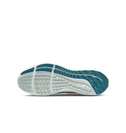 Кросівки чоловічі Nike Air Zoom Pegasus 39 Grey Dh4071-003