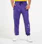 Штаны мужские Nike Los Angeles Lakers Therma Flex Violet CN3974-504