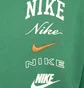 Худи мужское Nike Hoodie Club Fleece Green FN2634-365