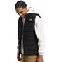 Жилетка мужская The North Face Aconcagua 3 Vest Black NF0A84IKJK3