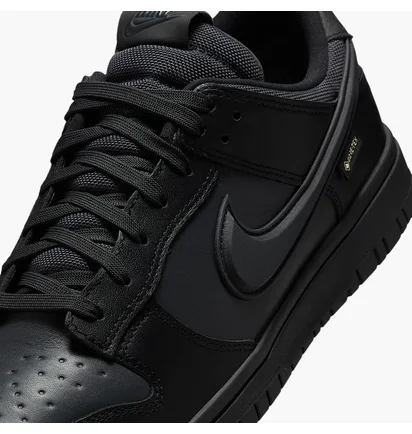 Кроссовки мужские Nike Dunk Low Gore-Tex Black HQ2053-001