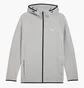 Толстовка мужская Puma Evostripe Full-Zip Grey 688231-63
