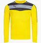 Лонгслив мужской Puma Stadium Gk Yellow 702089-55