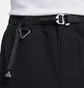 Шорты мужские Nike Acg „Snowgrass” Black DV9405-010