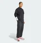 Штаны мужские Adidas Equipment Fleece Black JC8224