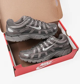 Кроссовки мужские Nike P-6000 Violet CD6404-202