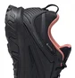 Кроссовки женские Reebok Ridgerider 6 Gtx Black FW9640
