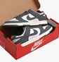 Кроссовки мужские Nike Dunk Low Next Nature Grey/White FZ4621-001