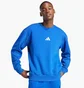 Свитшот мужской Adidas All Szn Fleece Graphic Blue JJ3669